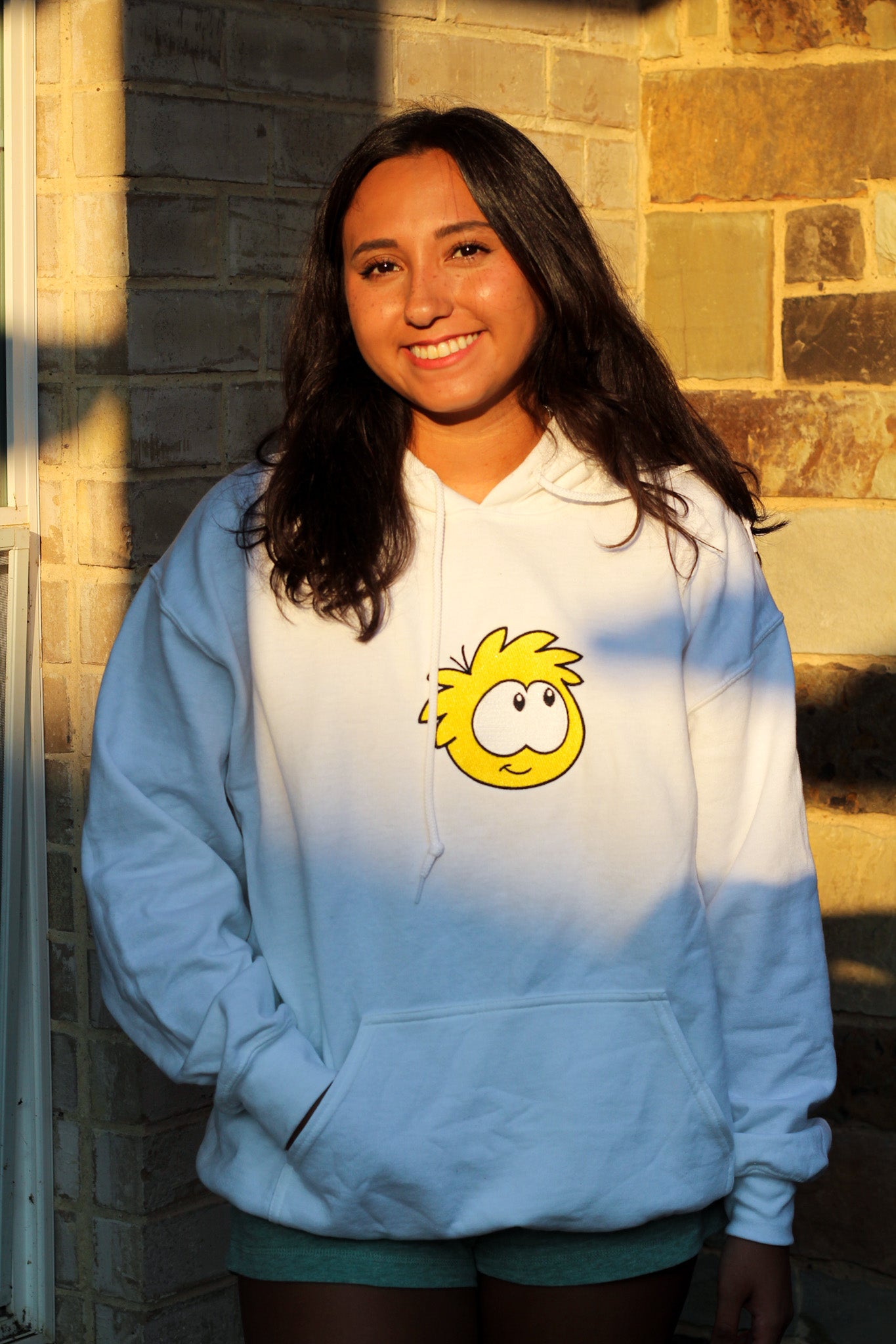 BROWN/WHITE/BLACK/YELLOW Puffle hoodie